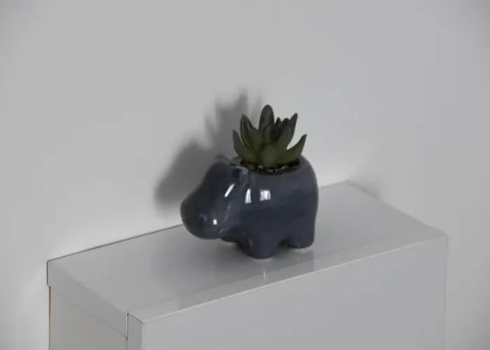 Sunset View Blaxy By Dany